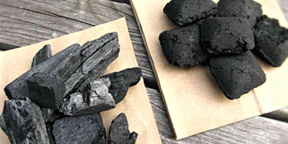 charcoal - 2 sets of charcoal