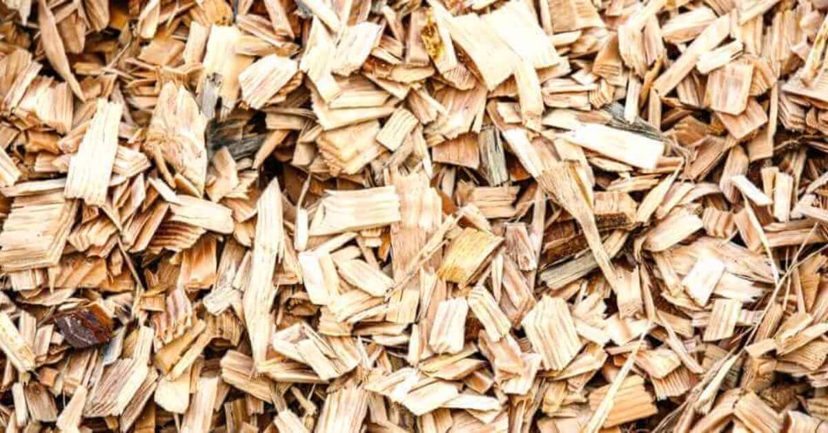 Wood chips, wood chips for smoker, wood chips for smoking, smoker, smoked BBQ