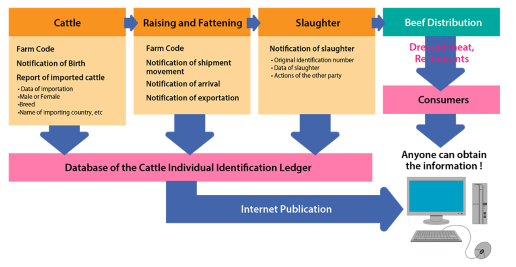 Registration of Wagyu cattle in Japan, Process of registering Wagyu cattle in Japan, Japanese system of registering Wagyu cattle, National Livestock Breeding Centre